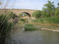 fiume ofanto